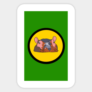 Inquisitive Hippo! Sticker